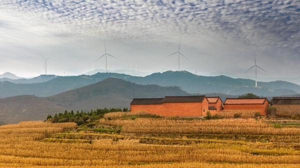 After the autumn rain